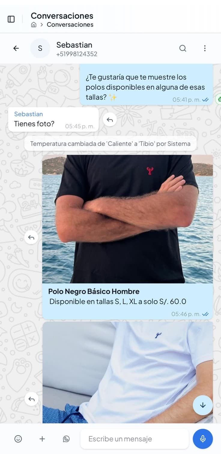 Conversación de WhatsApp atendida por el agente de VentIA